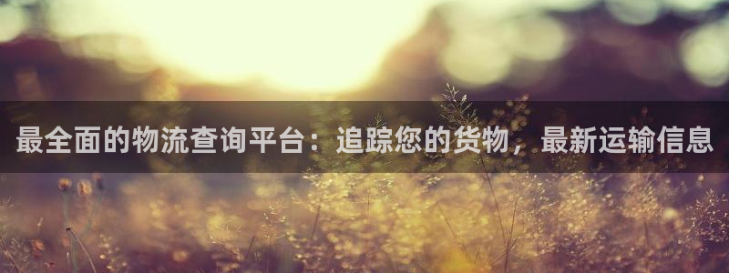 28圈.ccm2024：最全面的物流