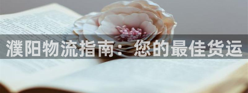 28圈在线预测