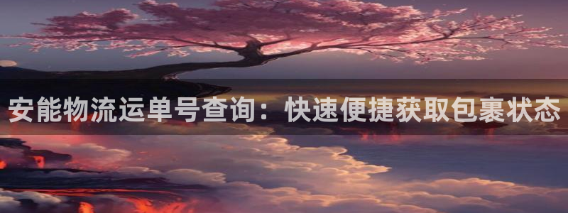 28圈登录用户名登录不上：安能物流运