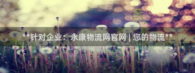 28圈加拿大怎么玩：**针对企业：永
