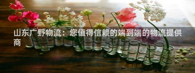 28圈注册限制怎么解除：山东广野物流