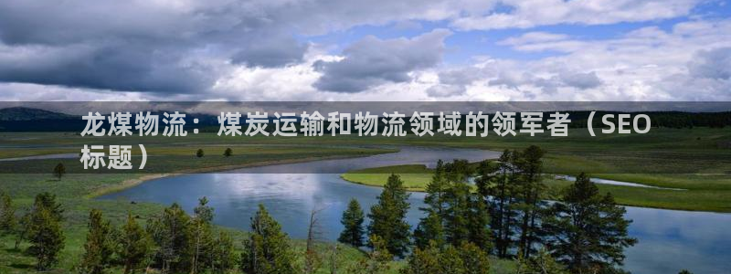 28圈游戏链接：龙煤物流：煤炭运输和