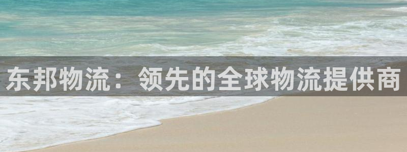 28圈加拿大技巧：东邦物流：领先的全