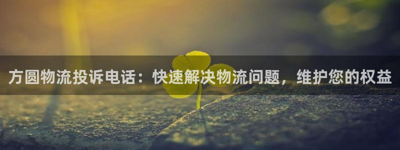 28圈能提现吗