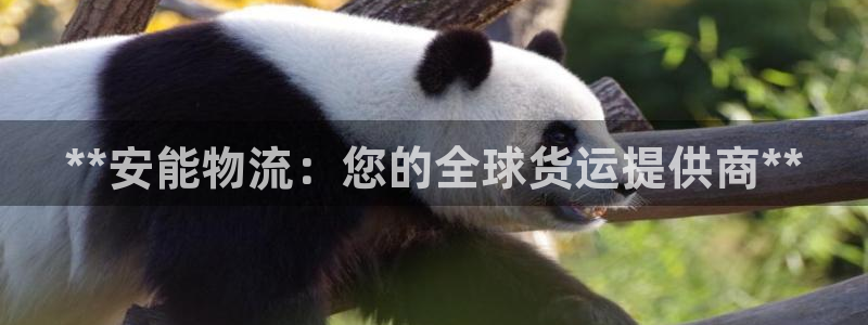 28圈官网预测：**安能物流：您的全