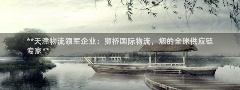 28圈.ccmo：**天津物流领军企