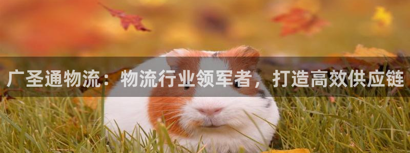 28圈官网平台：广圣通物流：物流行业