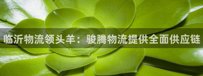 28圈app官网少林足球