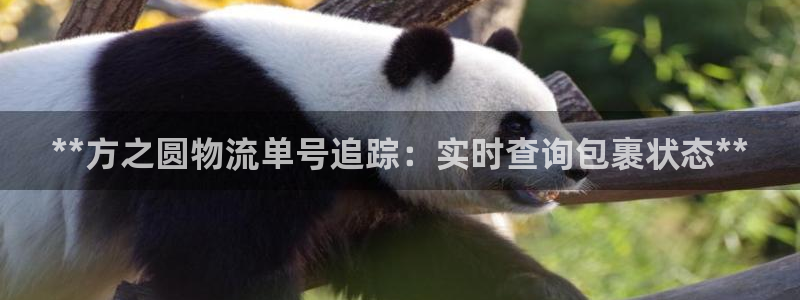28圈.ccmapp：**方之圆物流