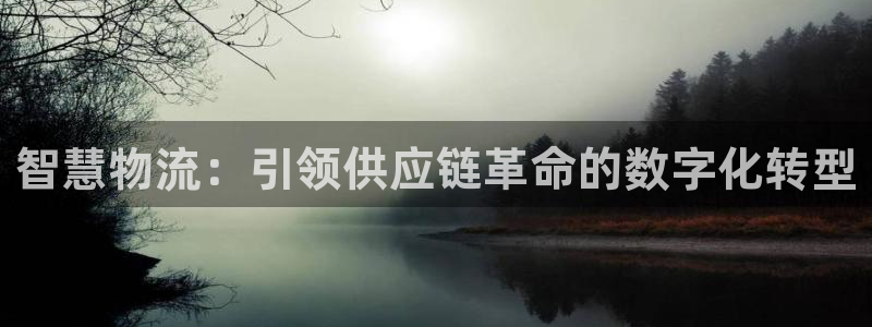 28圈比特28预测在线预测：智慧物流