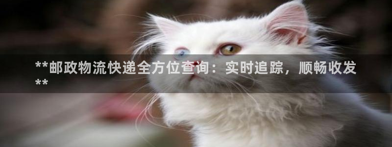 28圈官网下载链接是什么