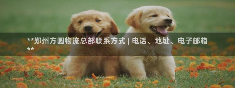 28圈登录流程：**郑州方圆物流总部
