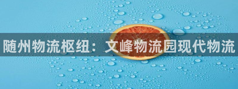 28圈加拿大怎么玩：随州物流枢纽：文