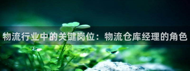 28圈加拿大能提现吗：物流行业中的关
