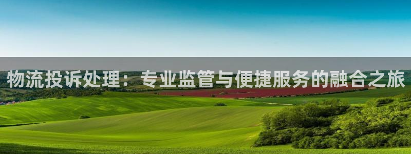 28圈官方官网版