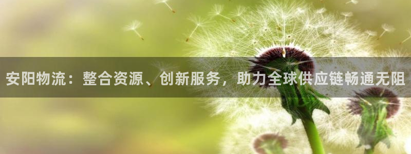 28圈官方网站
