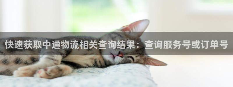 28圈是什么是赌博吗?