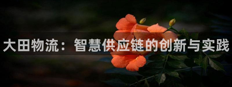 28圈pg麻将胡了