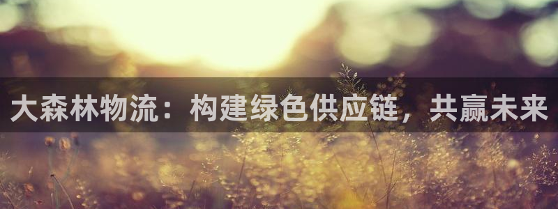 28圈是啥