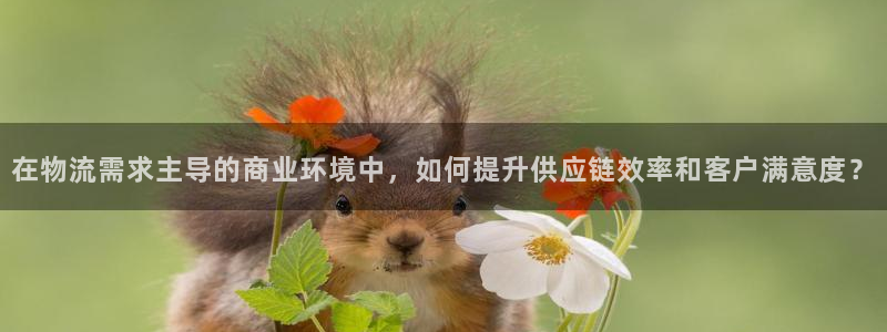 28圈正规吗