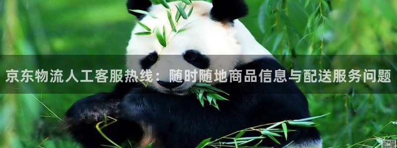 28圈吧