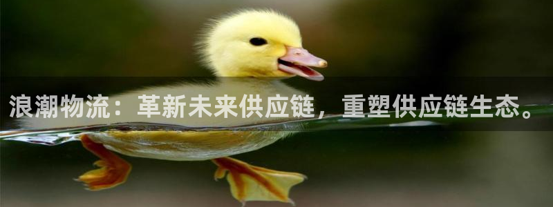 28圈app能退款吗