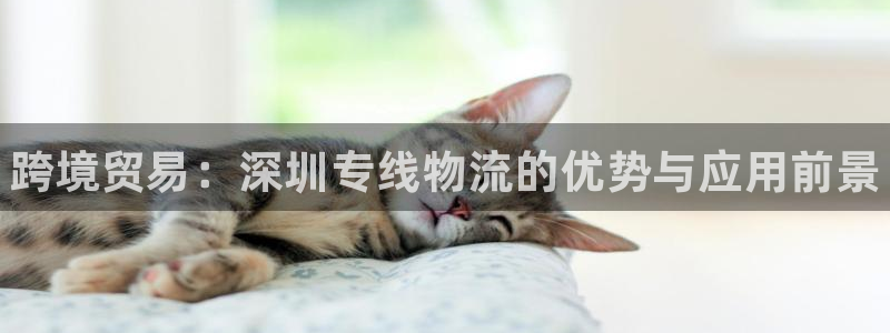 28圈南宫娱乐官网：跨境贸易：深圳专