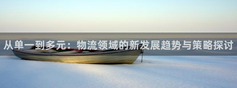 28圈加拿大2.8预测在线预测：从单一到多元：物流领域的新发