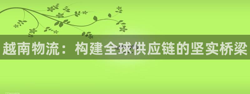 28圈注册登录：越南物流：构建全球供