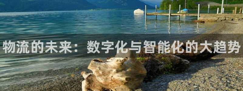 28圈农业银行是狗卡吗：物流的未来：