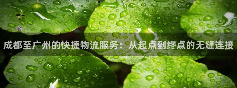 28圈登录用户名登录不上：成都至广州