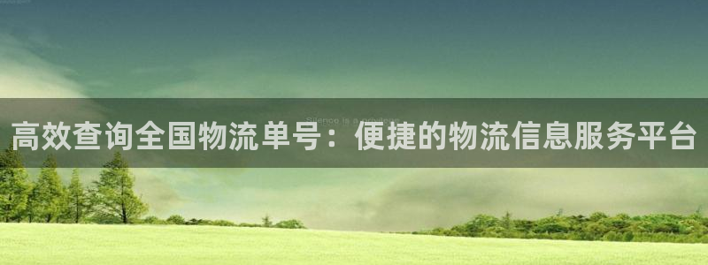 28圈娱乐官网网页入口：高效查询全国