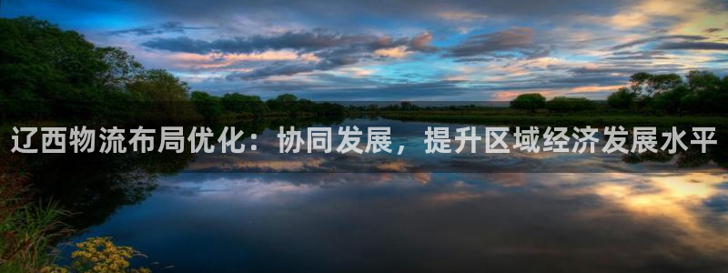 28圈充值不到账什么原因：辽西物流布