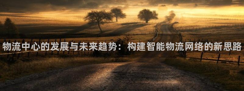 28圈充值不到账：物流中心的发展与未