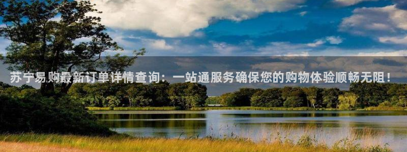 28圈模拟：苏宁易购最新订单详情查询