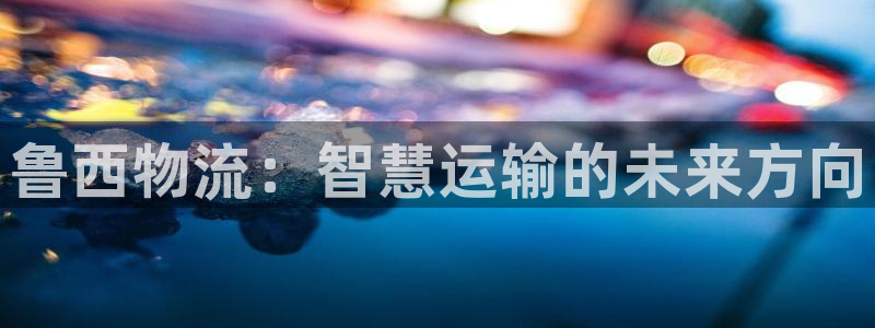 28圈为什么打不开：鲁西物流：智慧运