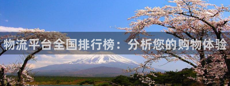 28圈合法吗：物流平台全国排行榜：分