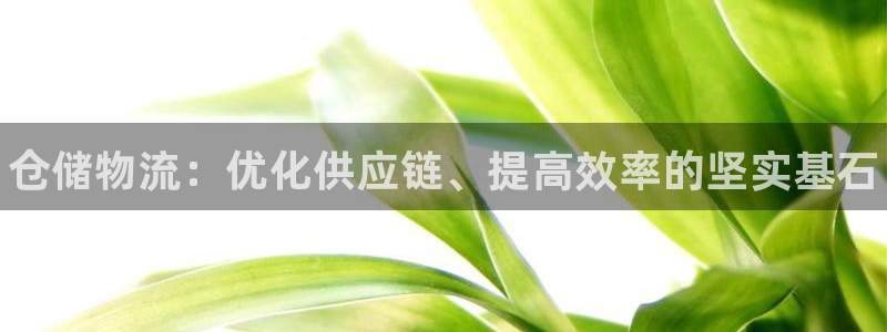28圈pg麻将胡了：仓储物流：优化供