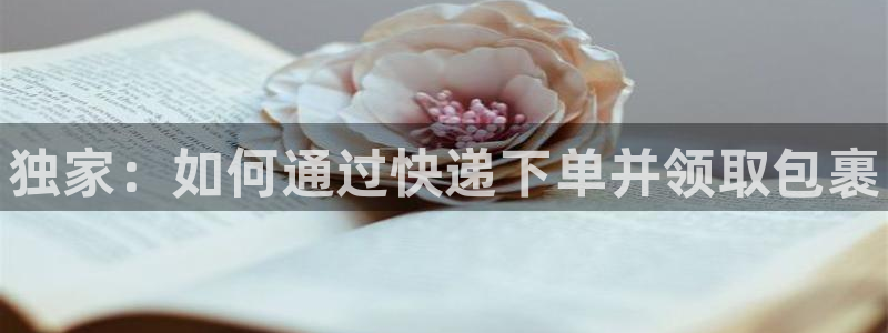 28圈麻将胡了：独家：如何通过快递下单并领取包裹