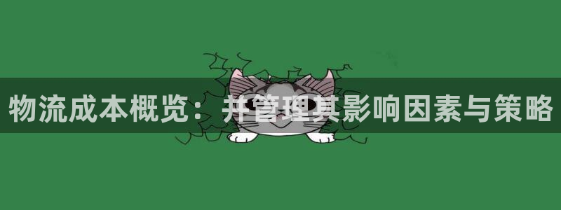 28圈游戏官网版：物流成本概览：并管