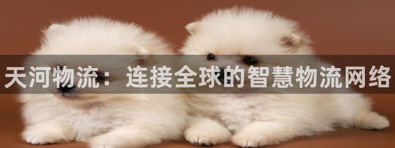 28圈注册网站链接：天河物流：连接全