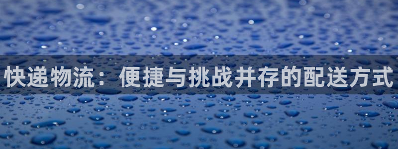 28圈怎么注册：快递物流：便捷与挑战