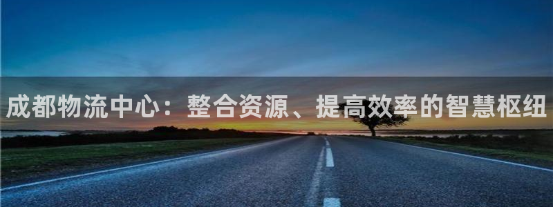 28圈的自行车：成都物流中心：整合资