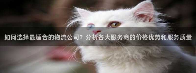 28圈软件：如何选择最适合的物流公司