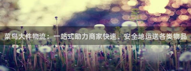 28圈登录用户名登录不上：菜鸟大件物