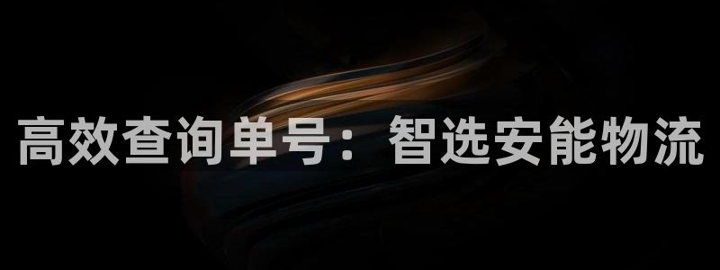 28圈注册教程：高效查询单号：智选安