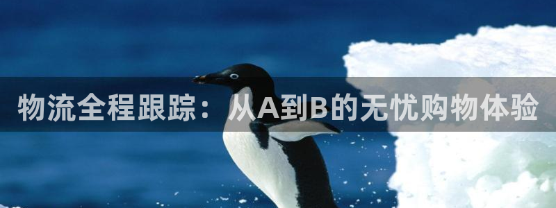 28圈反水什么时候到：物流全程跟踪：