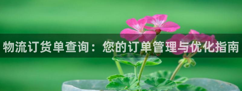 28圈加拿大官网：物流订货单查询：您