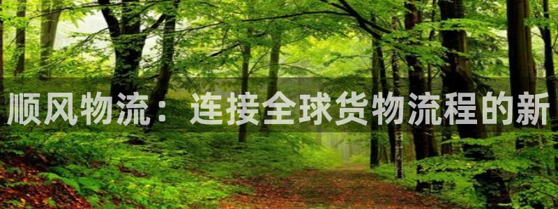 28圈反水什么时候到：顺风物流：连接