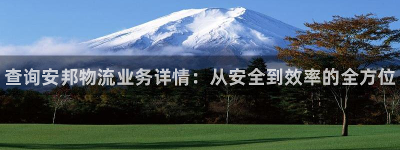 28圈模拟器：查询安邦物流业务详情：